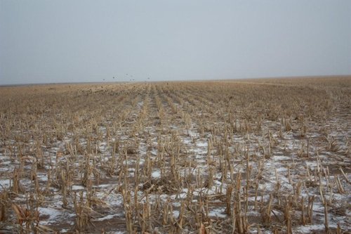 Property photo 6 - Kansas Land Auction - 960 Acres - 7 Farms in 3 Counties